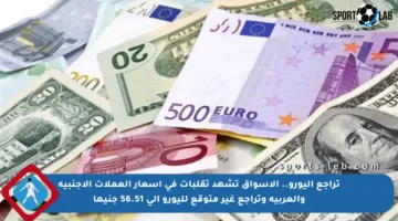 تراجع اليورو.. الأسواق تشهد تقلبات في أسعار العملات الأجنبية والعربية وتراجع غير متوقع لليورو إلى 56.51 جنيها